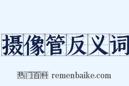 摄像管反义词是什么意思的图片